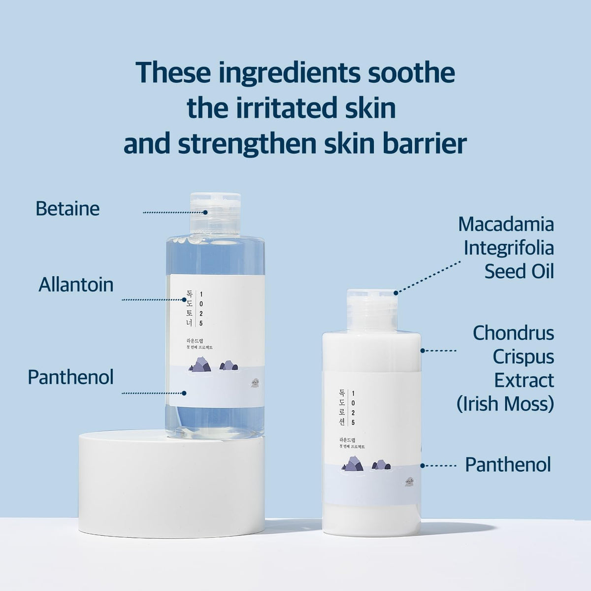 Round LAB 1025 Dokdo Toner Dokdo Lotion Set - ROUND LAB Official Imagery - 4