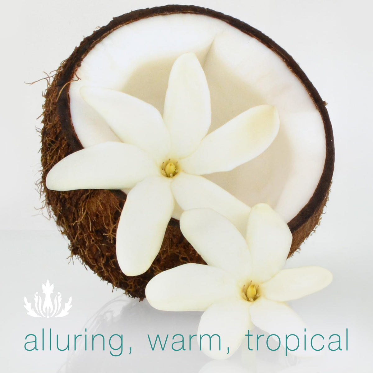 M lie Luxe Spa Box Tiare Hawaiian Beauty Gift Set with - Malie Official Imagery - 5