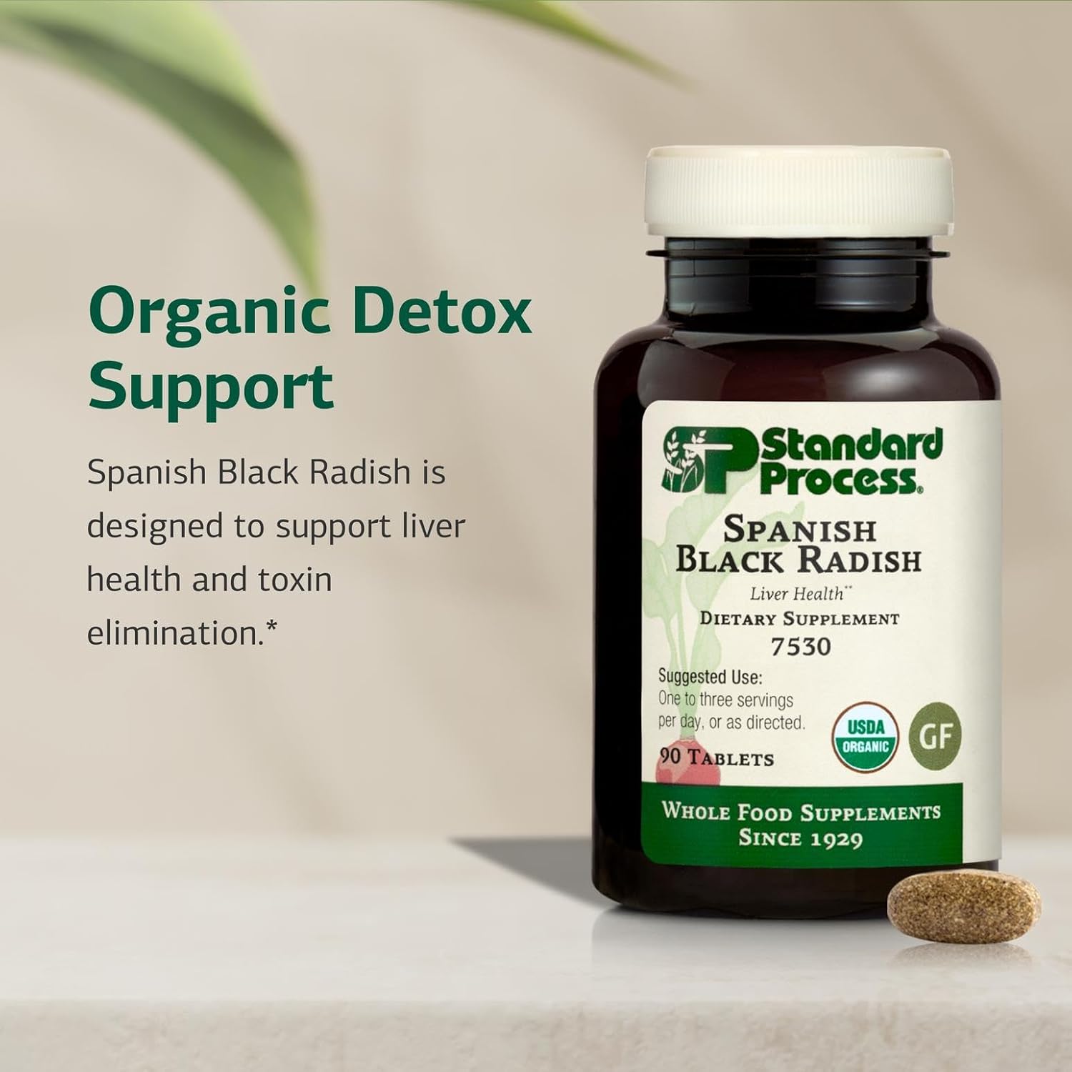 Standard Process Spanish Black Radish dietary supplement bottles with 90 tablets for liver health on white background