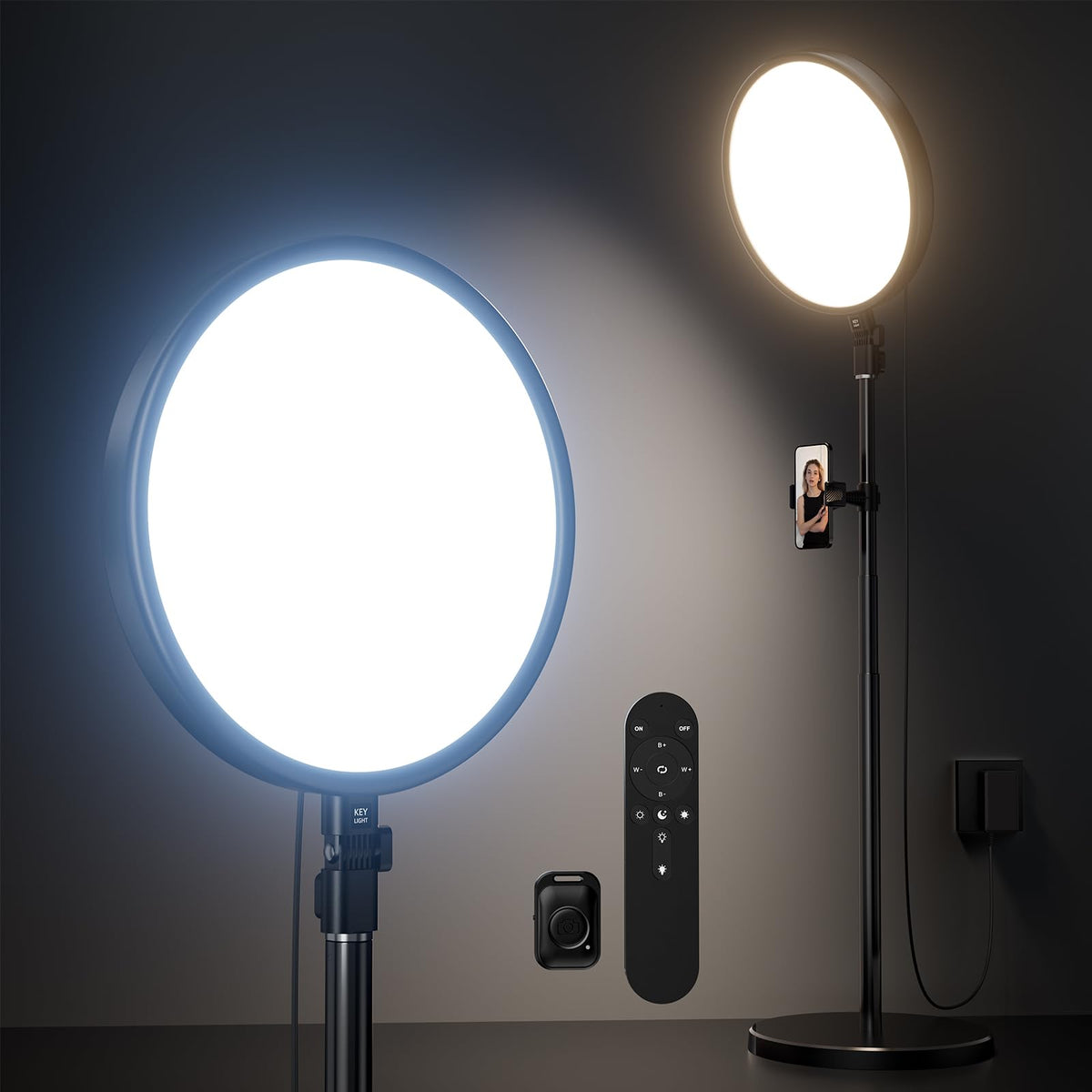 Large Ring Light with 79 Stand 6500K Professional Full - Weilisi Official Imagery - 1
