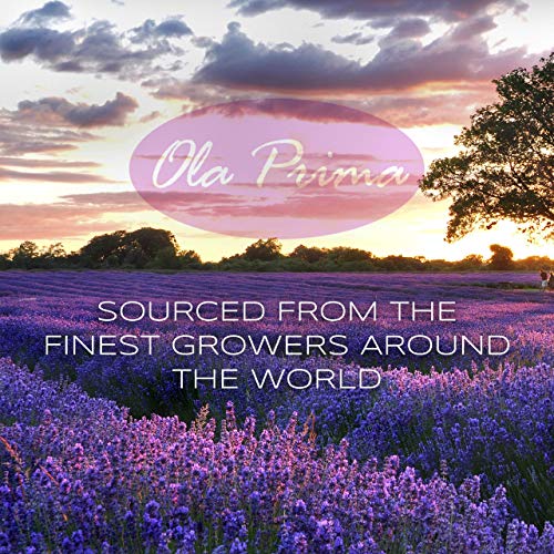Ola Prima 4oz Patchouli Essential Oil - Product Imagery