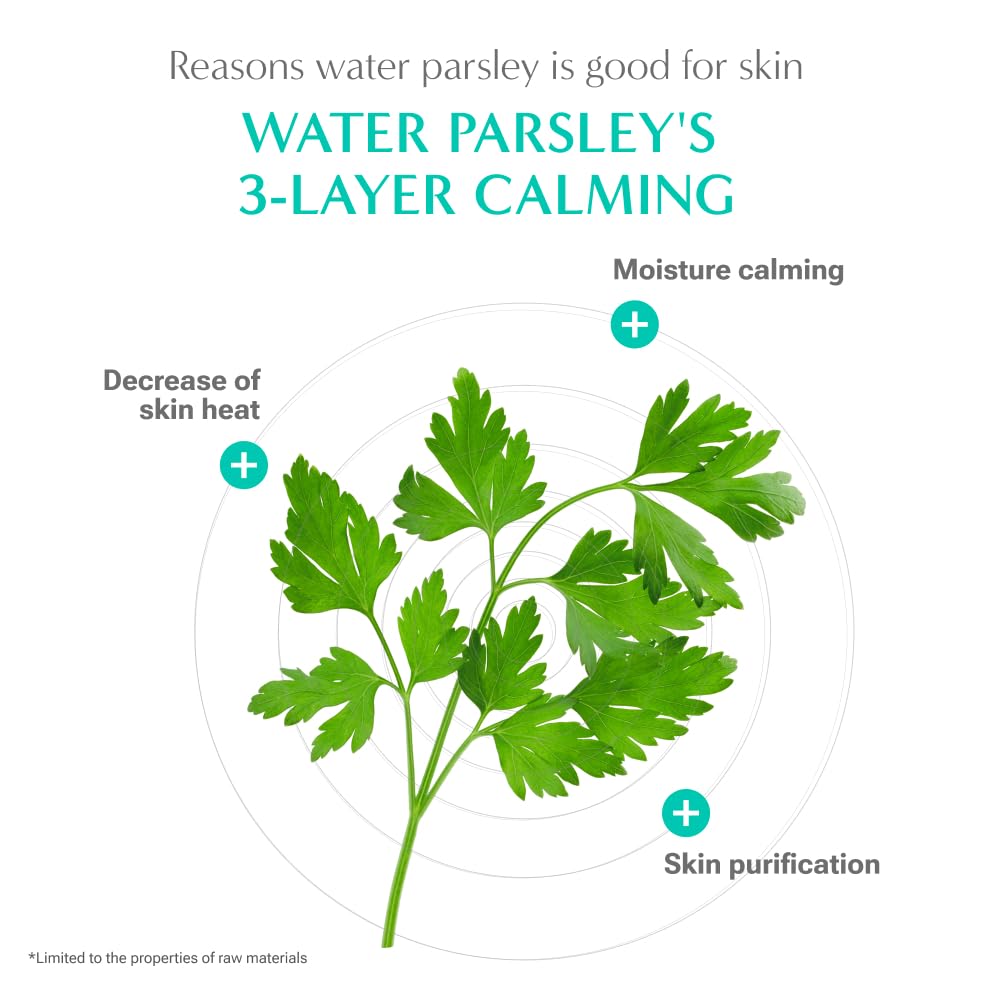 RATAPLAN Water Parsley Calming Serum &amp; Cream Duo Set - RATAPLAN