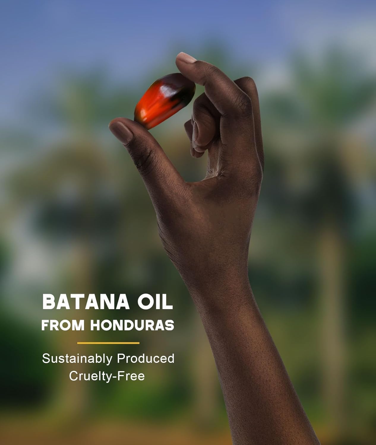 Qytin Batana Oil for Hair Growth, 100% Natural Pure Batana Oil Paste from Dr. - Qytin Official Product View 6
