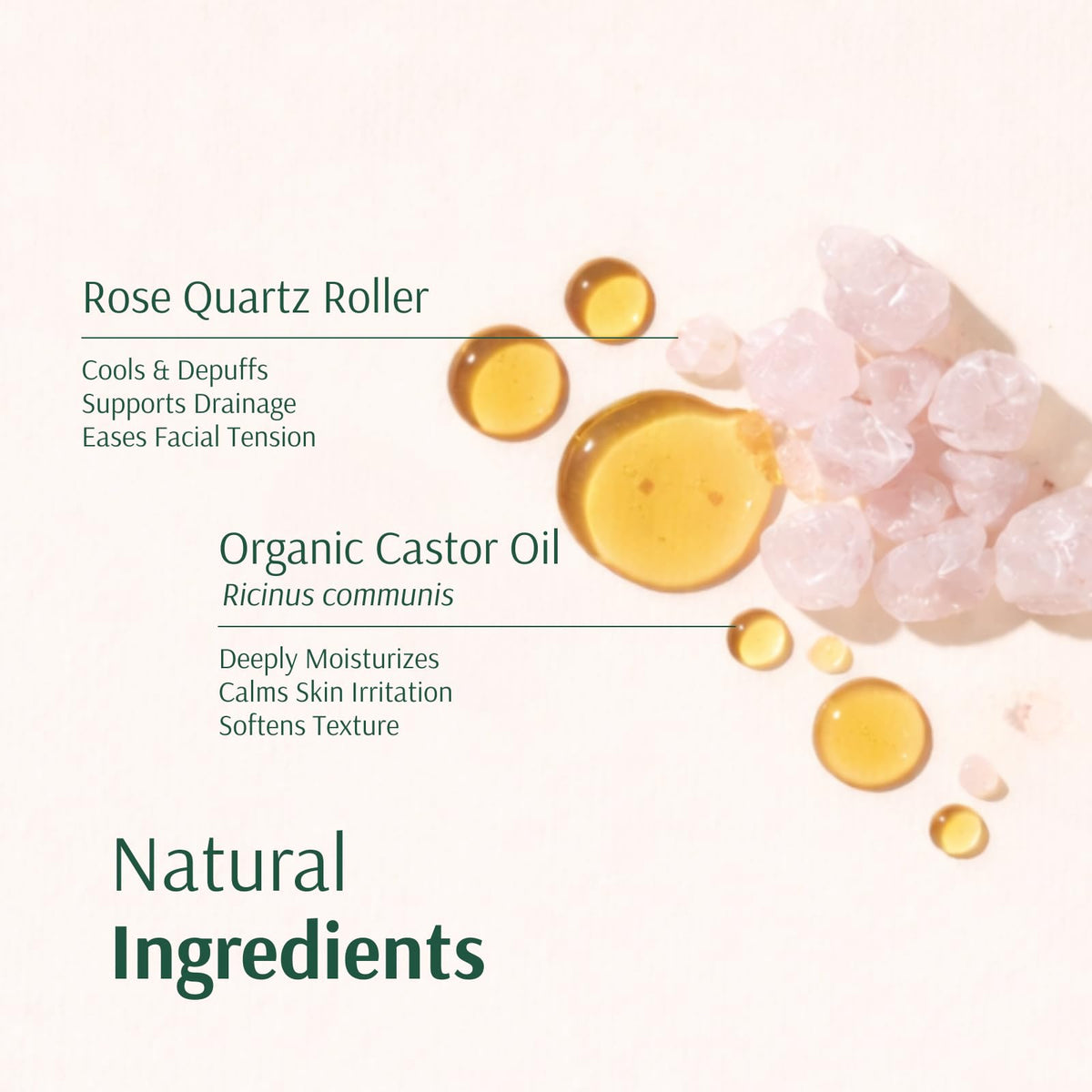 Golden Castor Oil Roll On for Lashes Brows 1 7oz - Holistic Goddess Official Imagery - 3