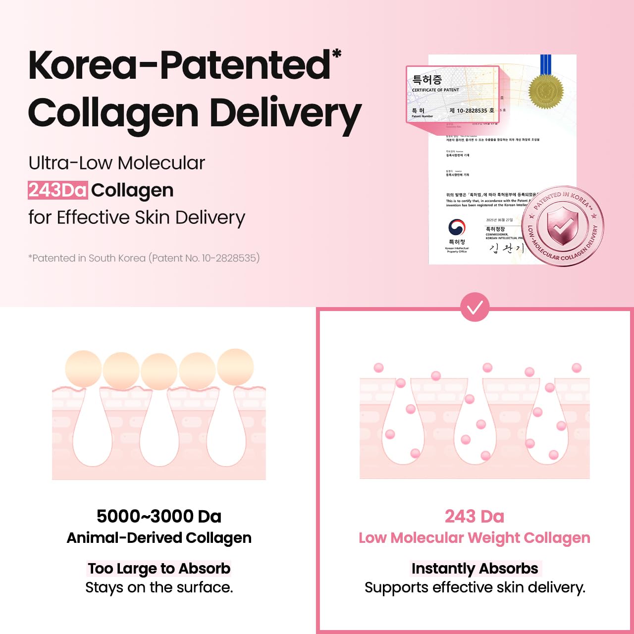 BIODANCE Firming Collagen Peptide Face Serum for Anti-Aging, - BIODANCE