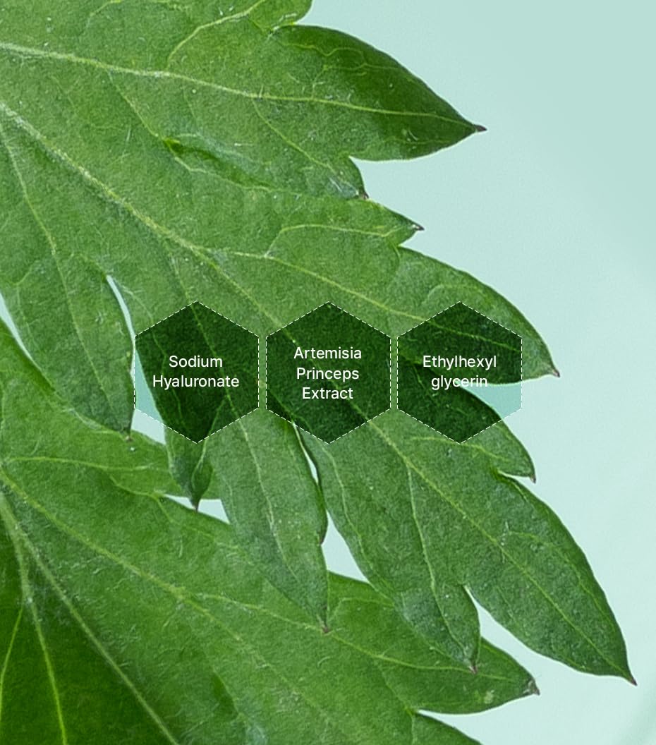 I m From Mugwort Essence Deep Calming Essence for Sensitive - I'm from Official Imagery - 3