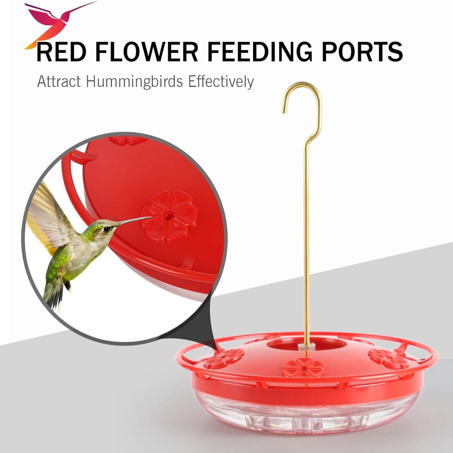eWonLife 2-pack hummingbird feeders with 16oz capacity, leak-proof saucer, 5 feeding ports, ant moat, brush, and easy refill.