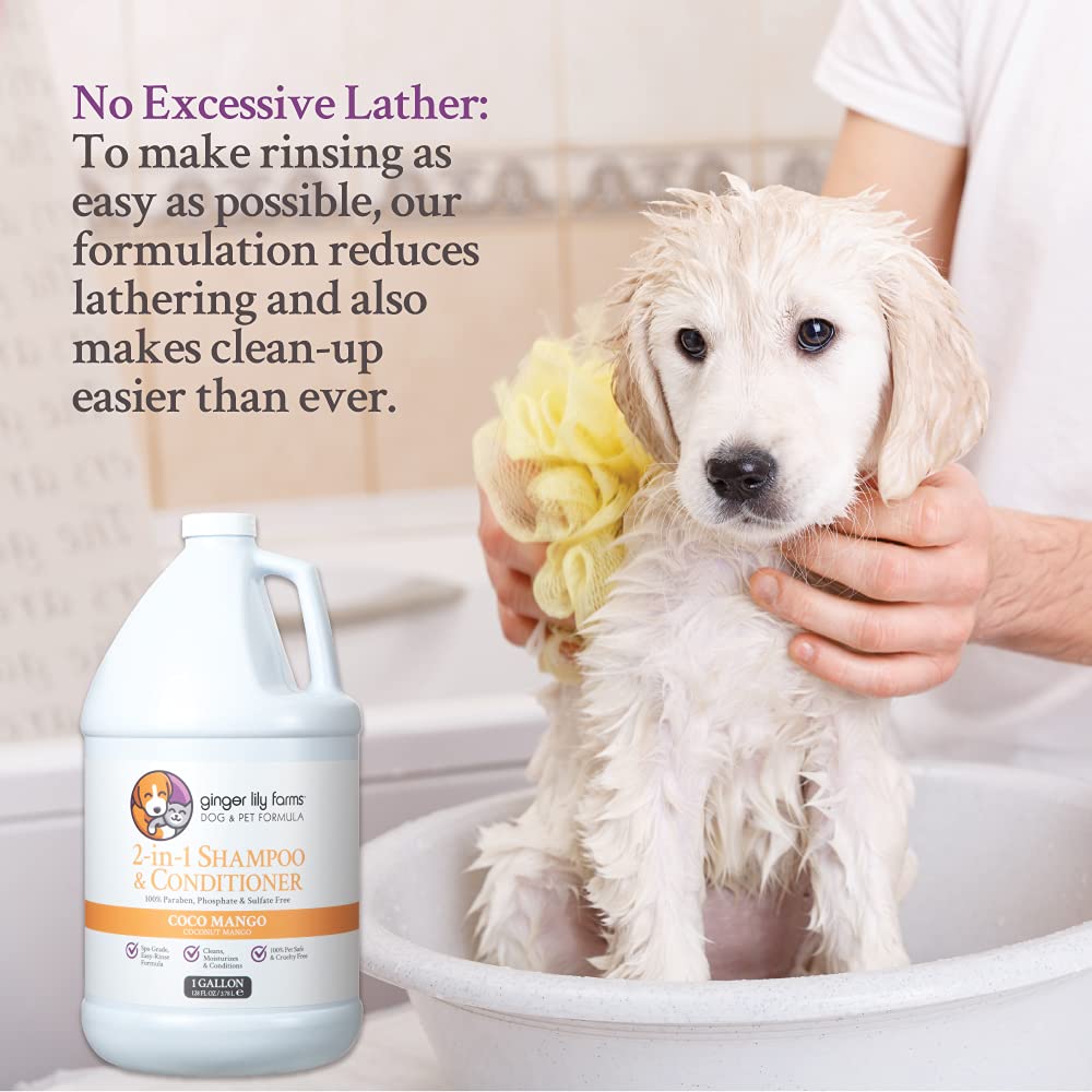 Ginger Lily Farms 2-in-1 dog and pet shampoo and conditioner bottle, 128 fl oz, with label and pump dispenser.