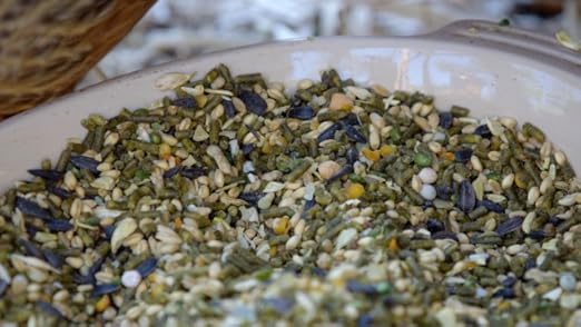 Small Pet Select chicken grower grit in a 10lb bag, suitable for young chickens over 6 weeks, shown in the image.