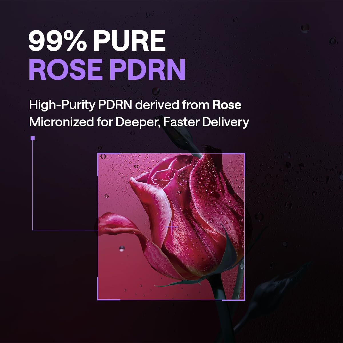 MEDIHEAL PDRN Lifting Toner Pads Pore Wrinkle Care - MEDIHEAL Official Imagery - 6