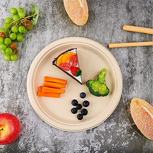 Vplus 150 Pack Compostable Disposable Paper Plates 10 inch Super - Product Imagery