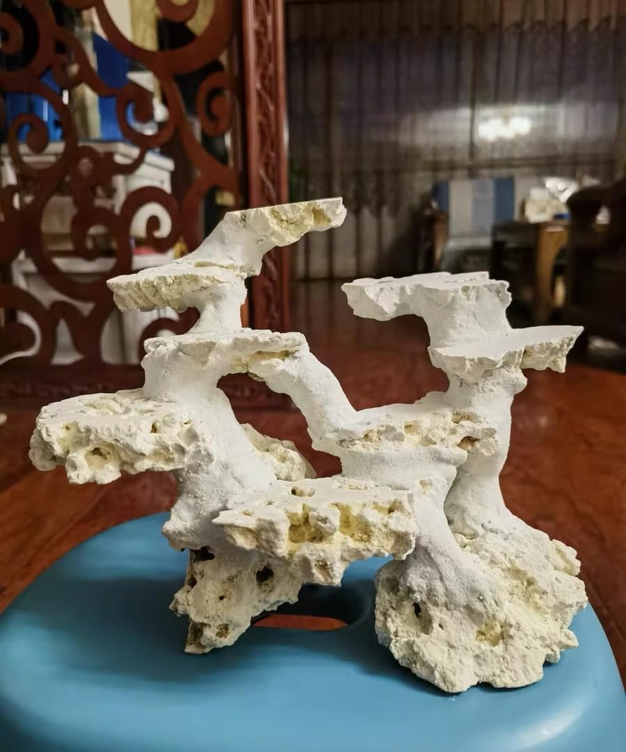 YZHZOM Dry Base Rock for Aquarium White Coral Ornament Sea - YZHZOM Official Imagery - 5