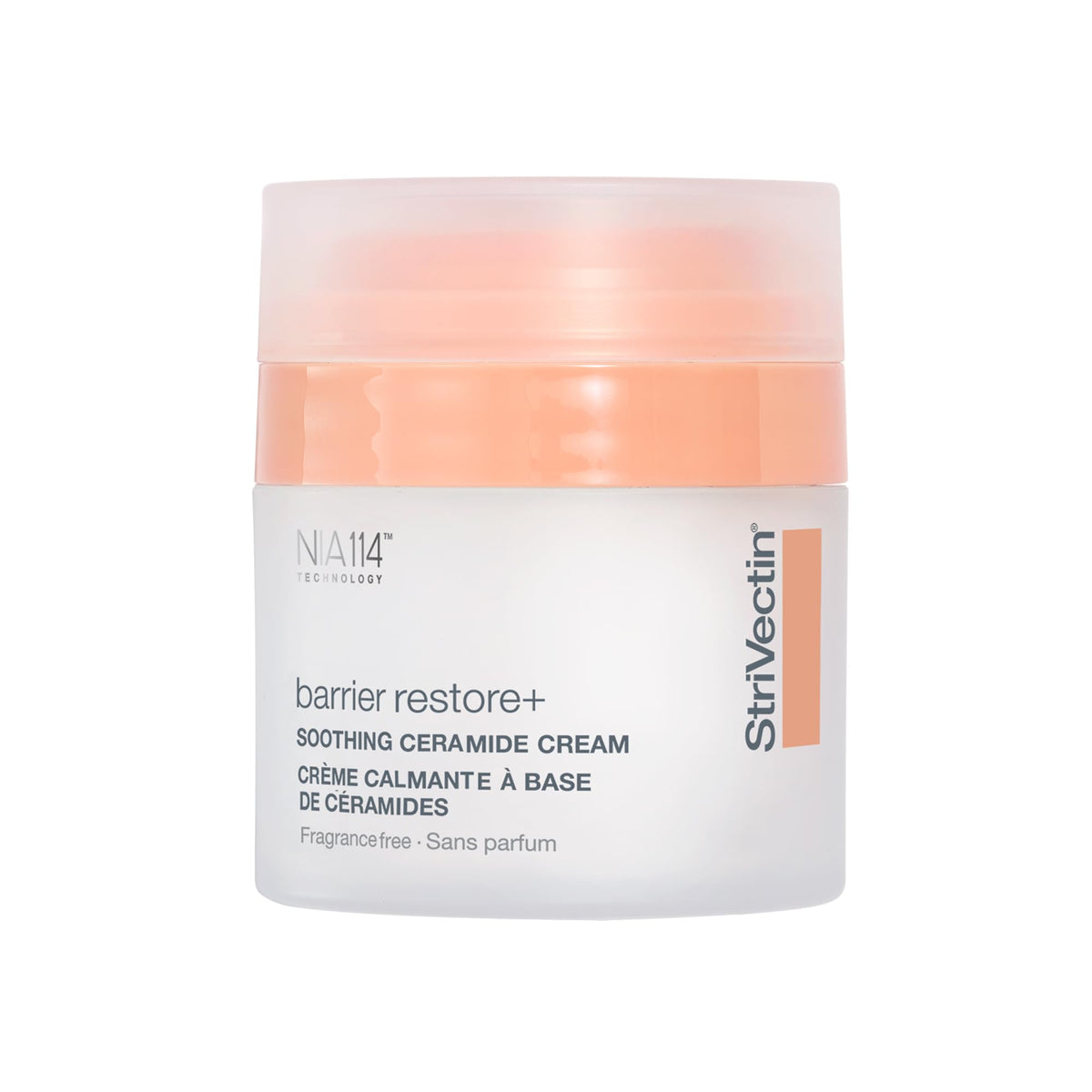 StriVectin Barrier Restore Soothing Milky Face Mist with - Premium Selection Official Imagery - 2