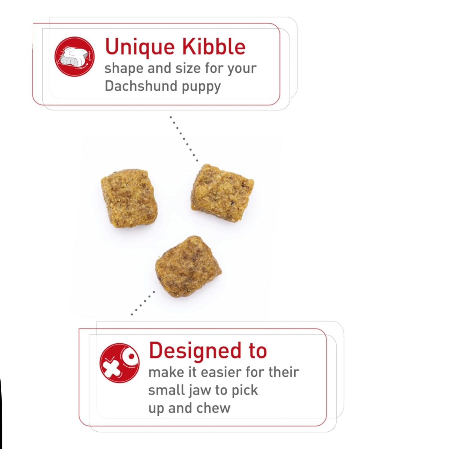 Elefair Royal Canin Dachshund Puppy Dry Dog Food in 2.5 lb bag, with kibble tailored for small breed puppies.