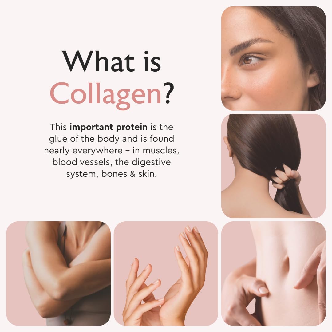 Alaya Multi Collagen Capsules 5 Types MSM Grass Fed 120 - Alaya Naturals Official Imagery - 6