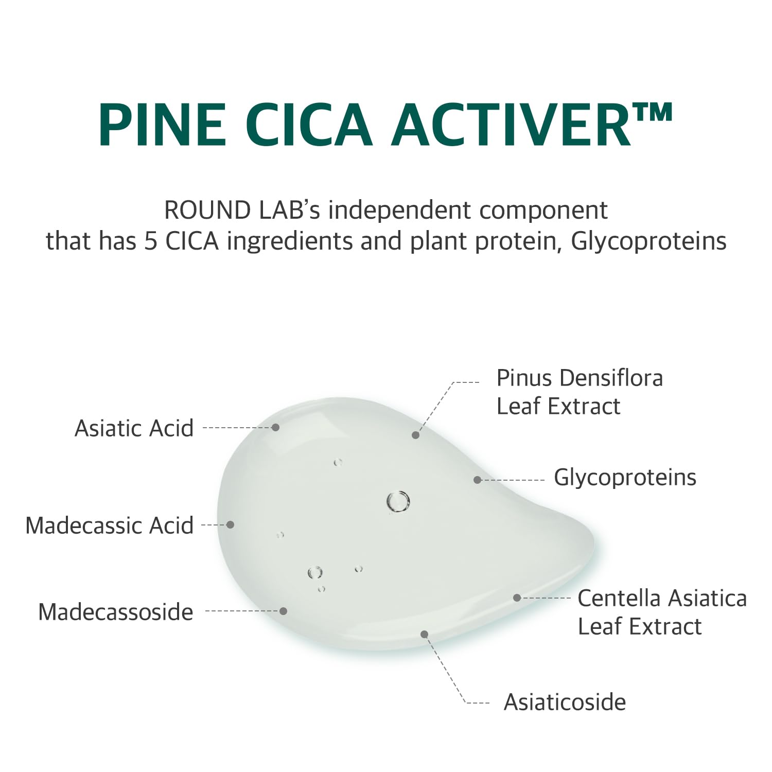 ROUND LAB Pine Calming Cica Sheet Mask 10ea - ROUND LAB