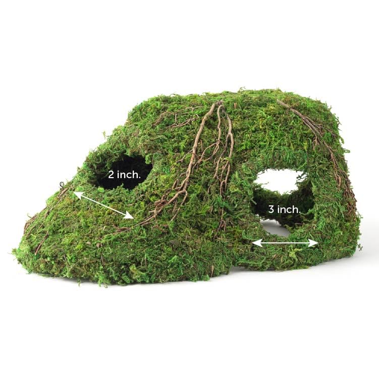 Galápagos Mossy Sapa Corner Hide for reptiles and amphibians, natural, secure shelter measuring 10x5.5x4.5 inches.
