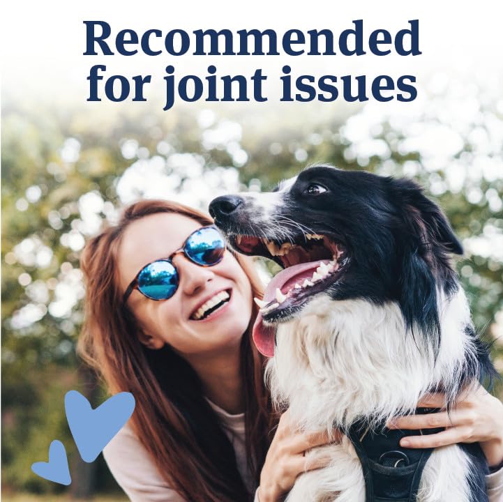 PetArmor Aspirin for small dogs showing the bottle with aspirin tablets, fast-acting anti-inflammatory and pain relief for pets.