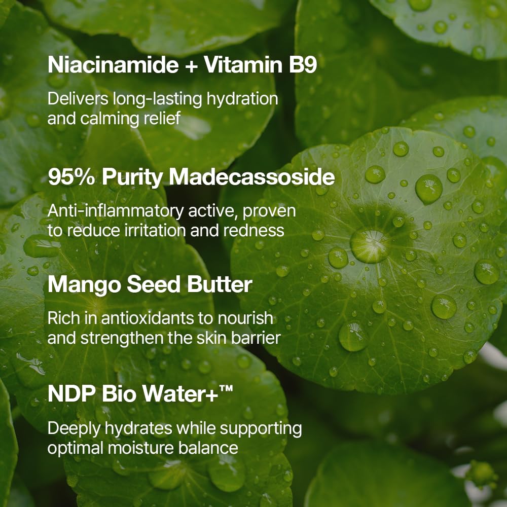 NDP Vitamin B9 Tone up Cream Silicone Free Face Primer for - NATURAL DERMA PROJECT Official Product Imagery - 6