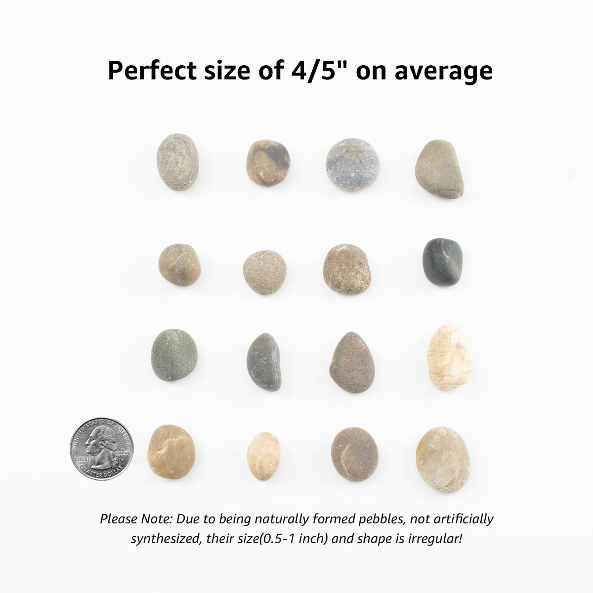 20 LBS Natural River Rocks - LOOIOOJ Official Imagery - 3