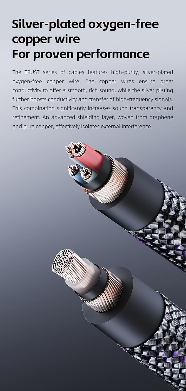 FiiO Trust Series USB-C to USB-C OTG Digital Audio Cable, Silver- by FiiO - Angle View 3