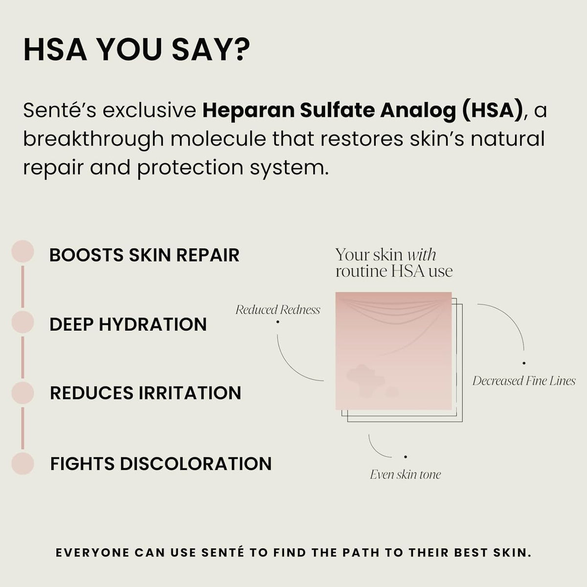 Sent Hydrate Serum - Sente Official Product Imagery - 6