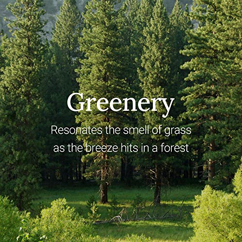 WELCOS Frudia Reproust Essential Blending Lip Butter Greenery | - Product Imagery