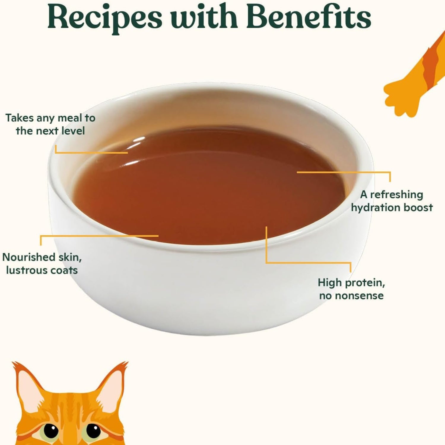 Made by Nacho beef bone broth cat food topper, hydrating treat for picky cats, pack of 4, visible beef chunks and broth in a bowl