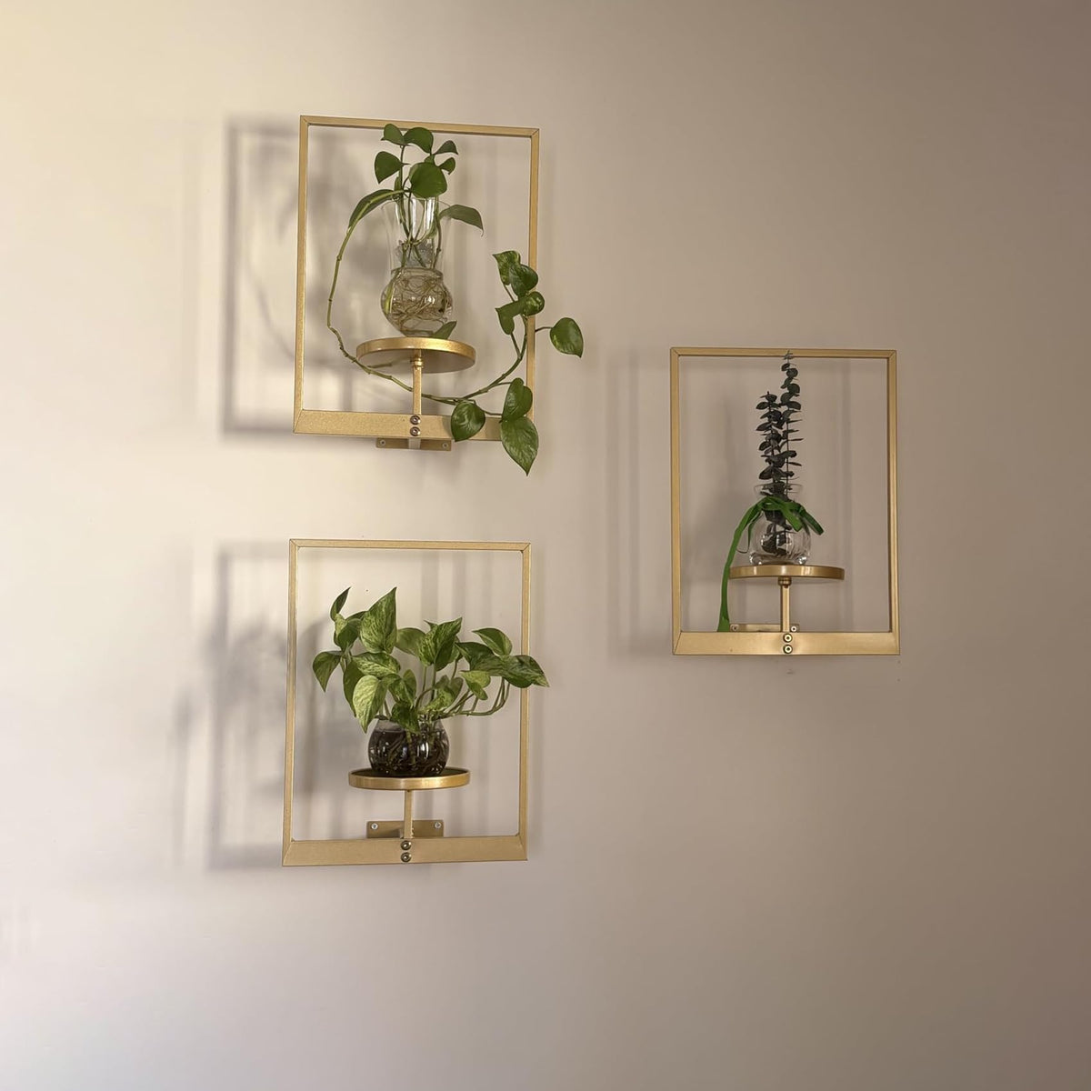Picture Frame Wall Planters Set of 3 Modern Metal Hanging - bbteroiu Official Imagery - 6