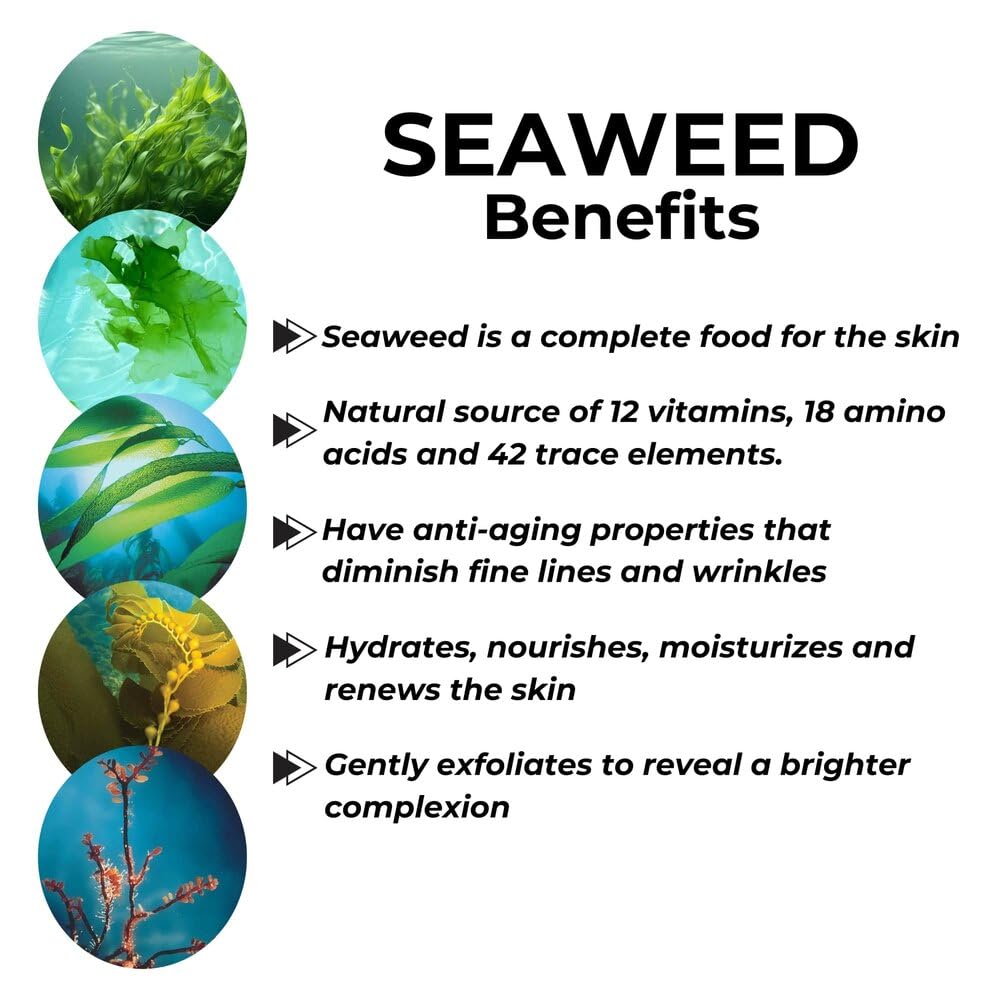 Repechage Sea Cleanse Foaming Seaweed Cleanser Hydrating - Repechage Official Imagery - 7