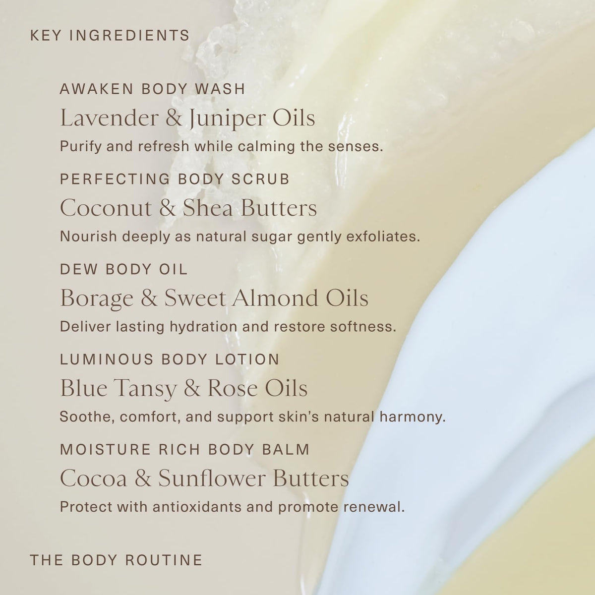 The Body Routine 5 Piece Body Care Set Full Sizes - Oak Essentials Official Imagery - 5