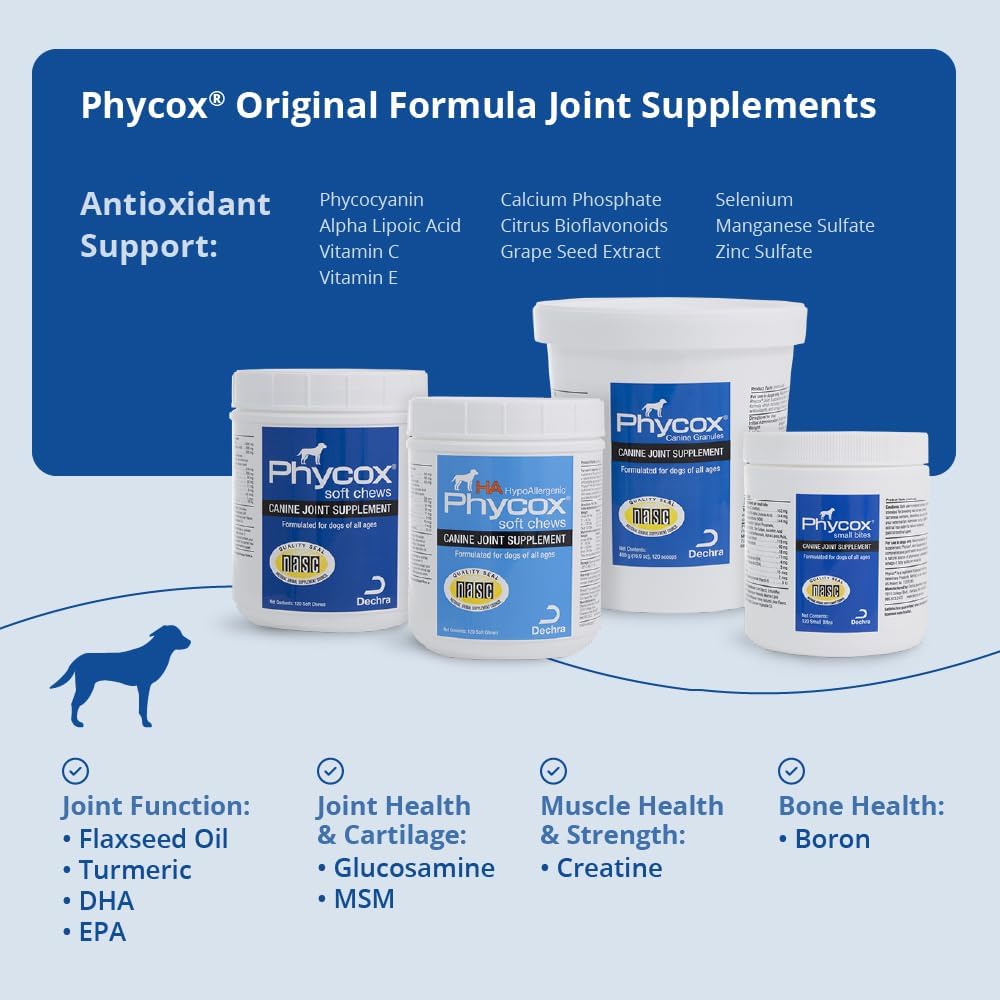 PhyCox small bites joint supplement for dogs, 120 count, showing chewable treats designed to support canine joint health.