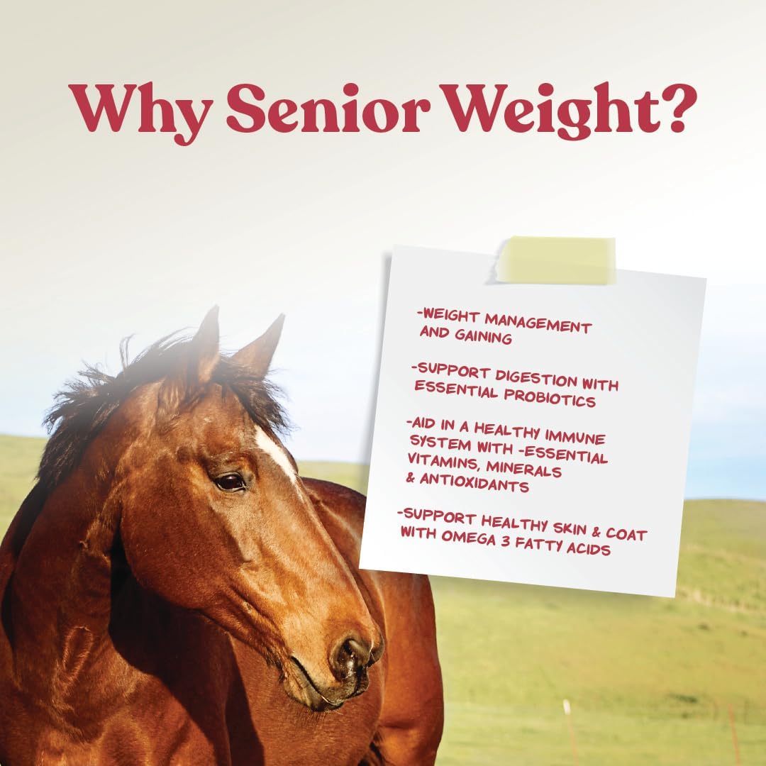 Manna Pro Weight Accelerator for senior horses, showing a container of supplement designed to promote weight gain and muscle.
