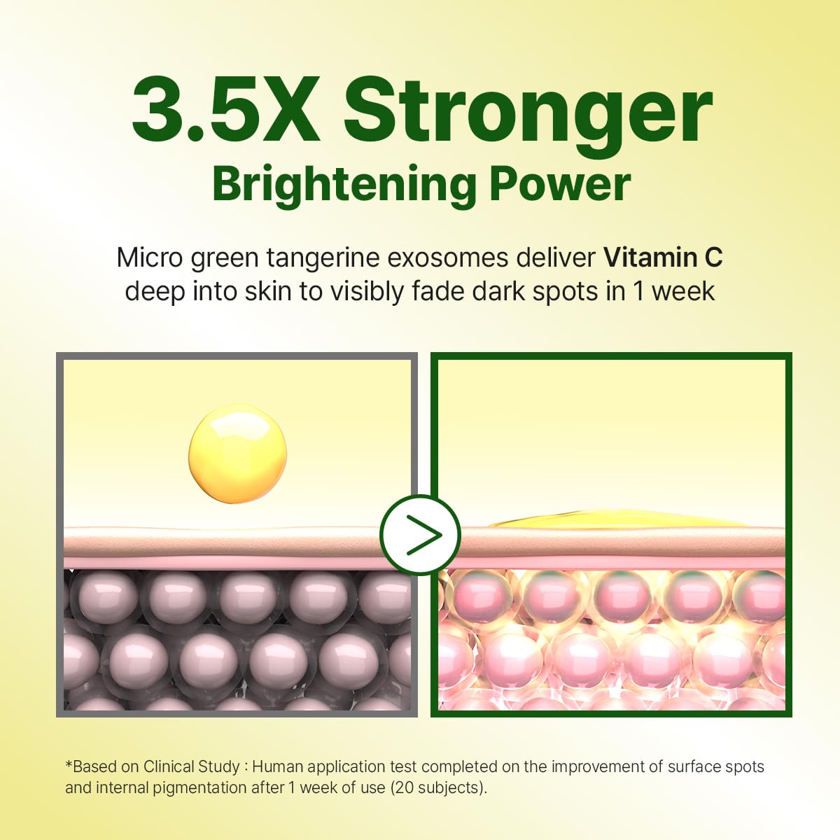 GOODAL Green Tangerine Vitamin C Cream Vitamin C Cream with - GOODAL Official Imagery - 4