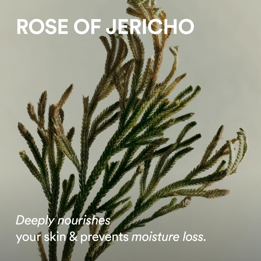 Abib Jericho Rose Non-animal Collagen Pad Firming Touch 60pads - Abib