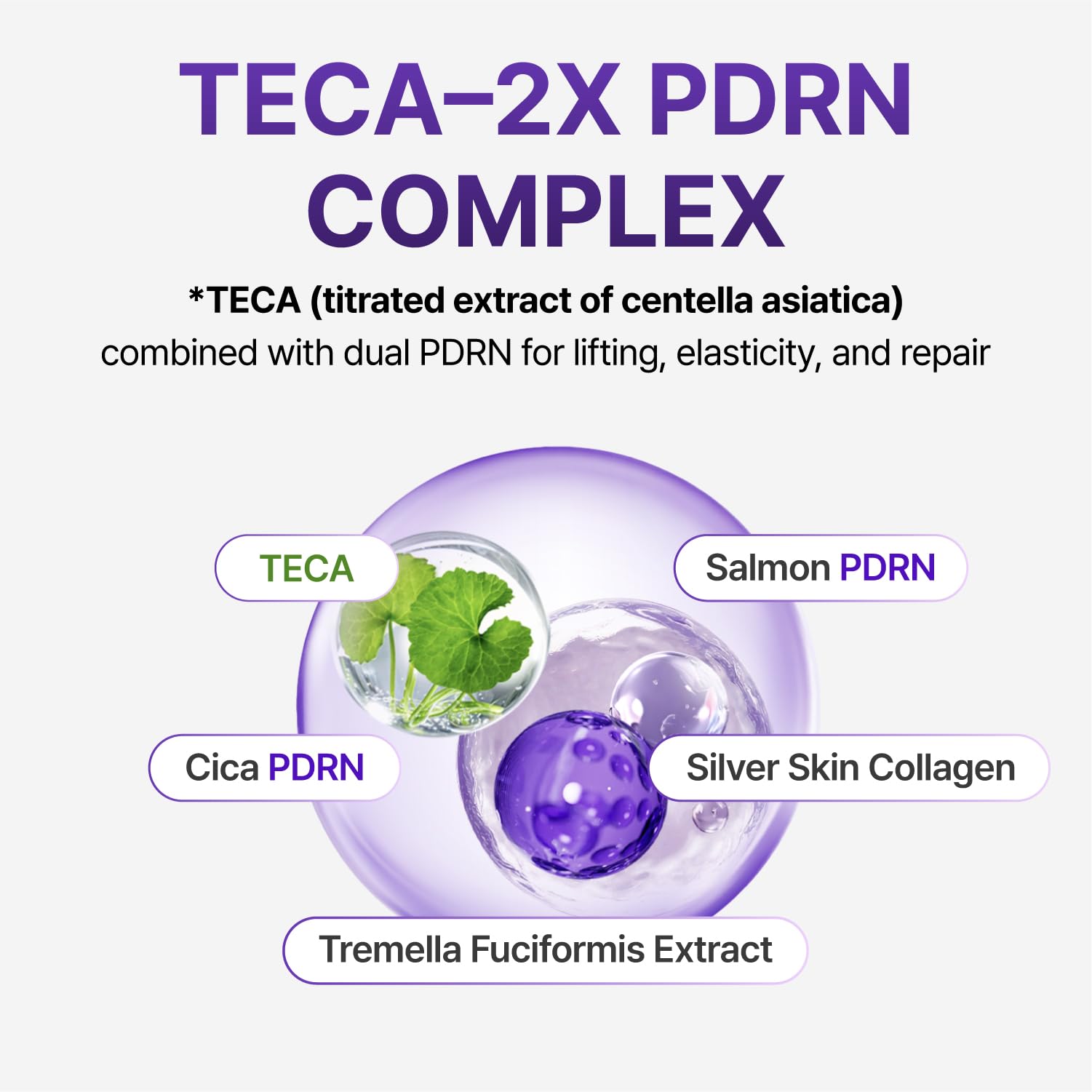 CENTELLIAN 24 PDRN Firming Set - CENTELLIAN 24 Official Imagery - 8