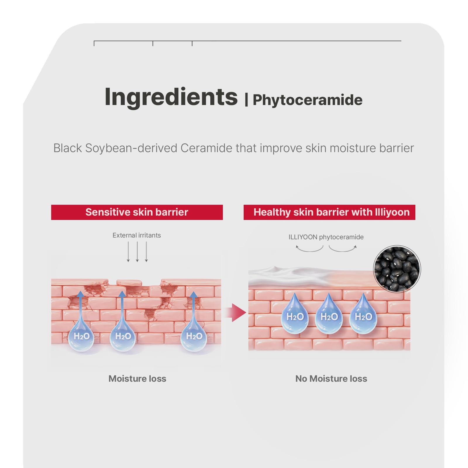 Illiyoon Ceramide ATO Moisturizing Milky Toner - Lightweight Milky Essence & 2 - Illiyoon Official Product View 6