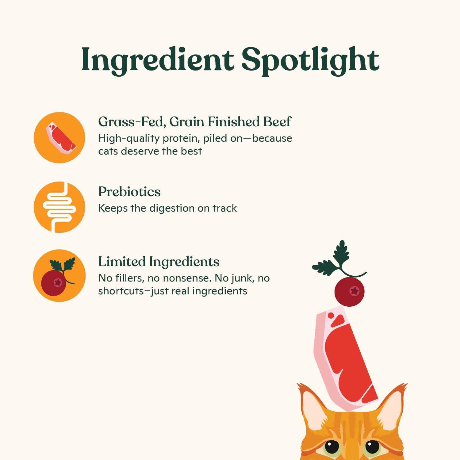 Made by Nacho beef bone broth cat food topper for hydration, ideal for picky eaters, pack of 4 with natural beef flavor.