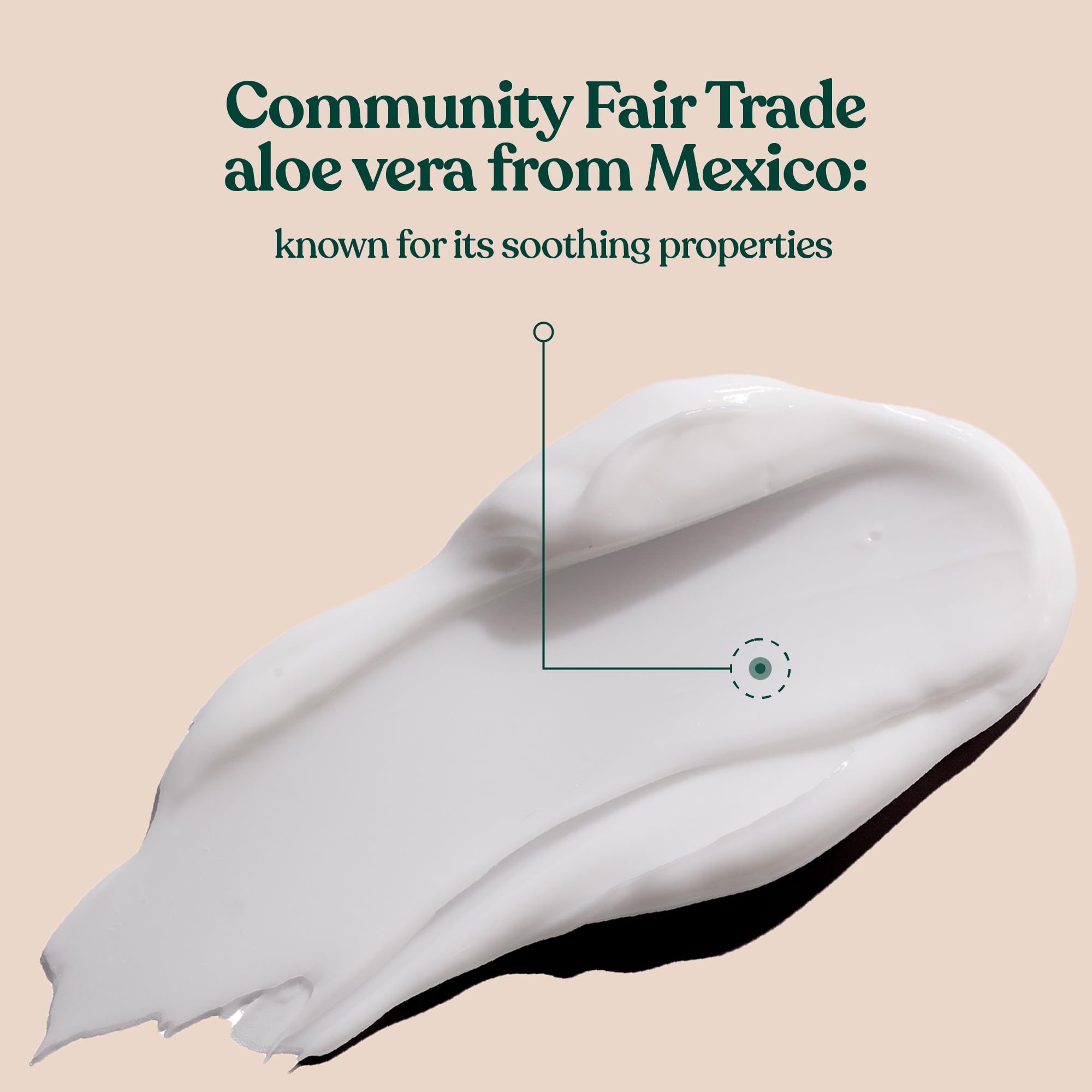 The Body Shop Aloe Vera Day Cream, For Sensitive Skin, Vegan, 50ml
