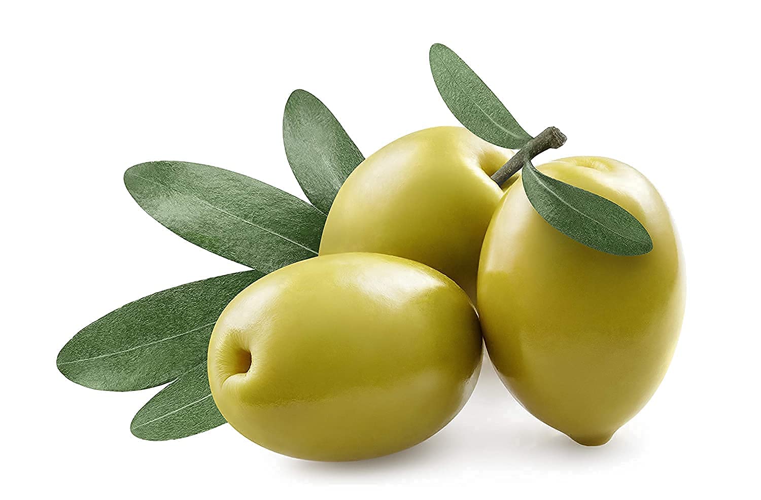 OPO Squalane Oil - Pure & Refined & Plant Derived & Non G - OPO Official Product View 5