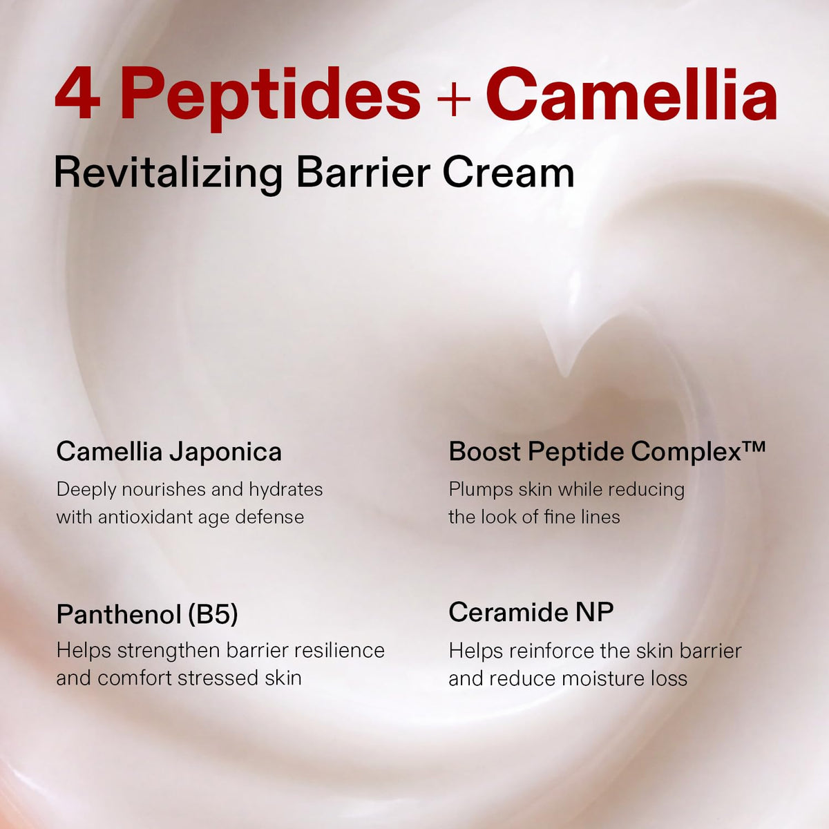 CORDIALE Camellia Revitalizing Barrier Cream Korean Face - CORDIALE Official Imagery - 7