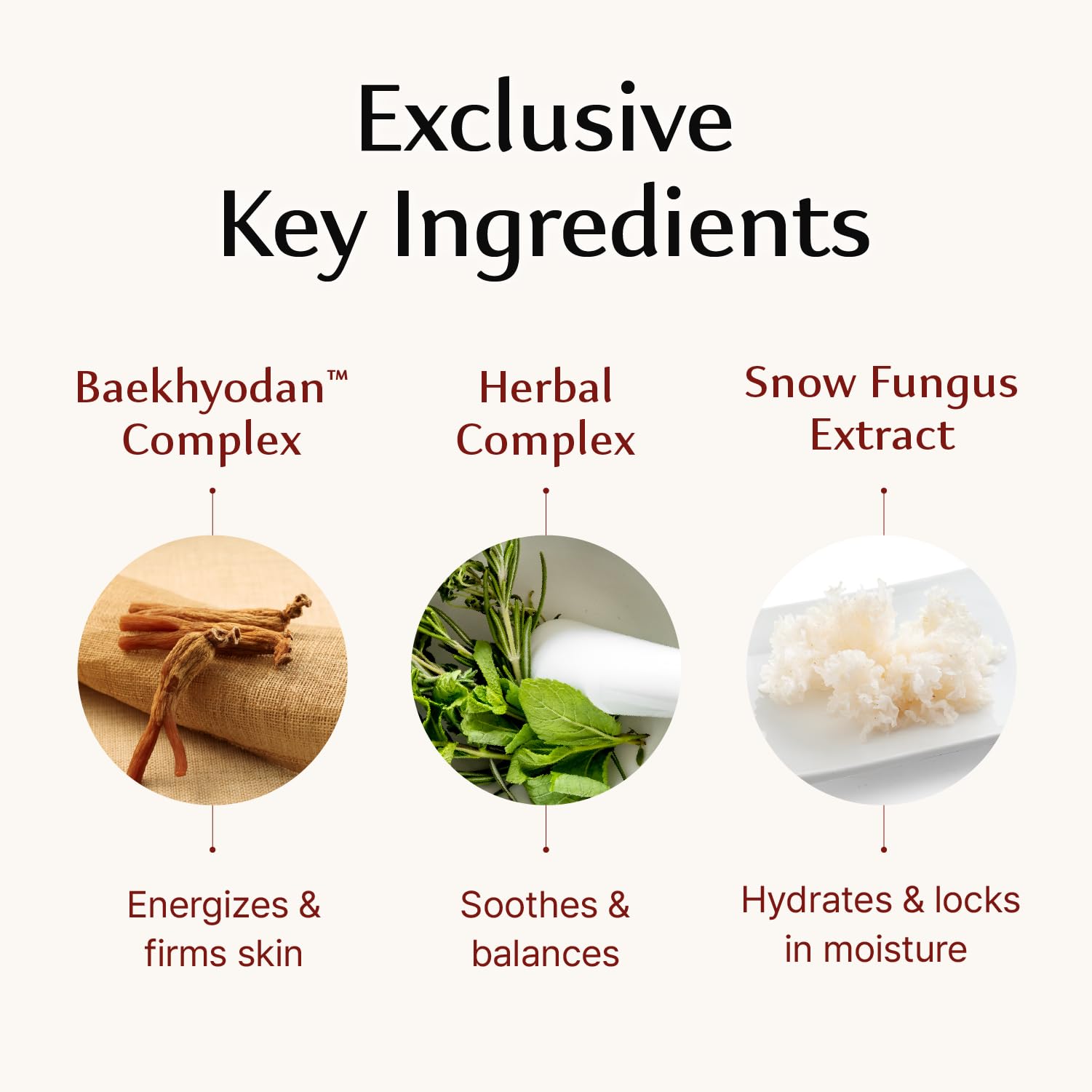 Sooryehan Hyobidam Fermented Eye Cream (0.84 fl oz) - Sooryehan