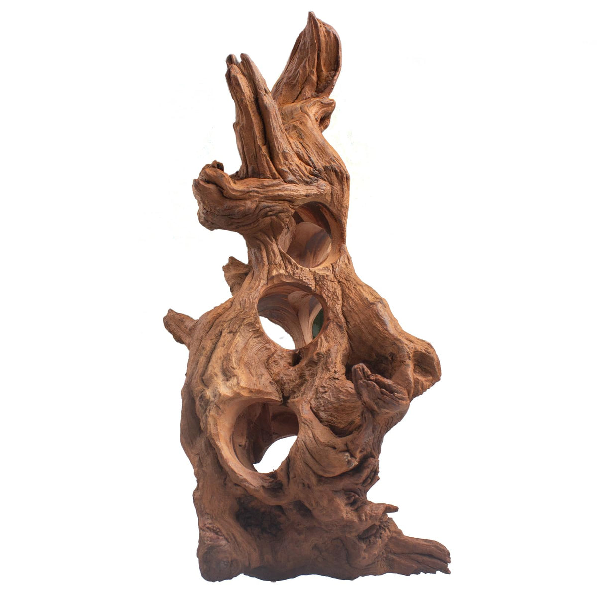 emours Porous Natural Driftwood for Aquarium Aquascaping - emours Official Imagery - 1