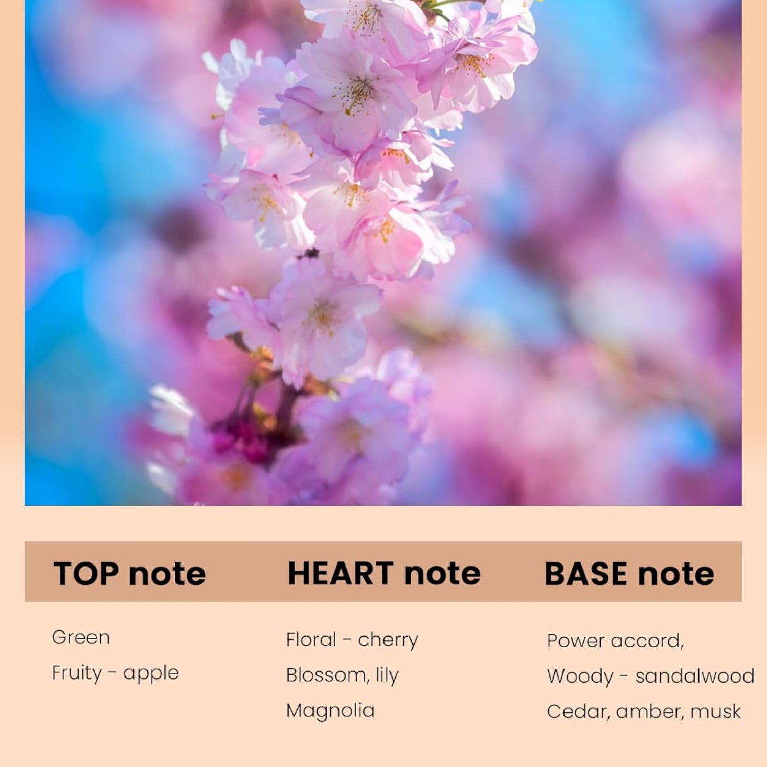 PUREAMOR cherry blossom pheromone perfume for women in a 10ml alcohol-free spray bottle, featuring floral scent and perfume oil.