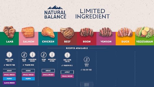 Natural Balance limited ingredient small-breed adult dry dog food bag showing the product packaging and branding.