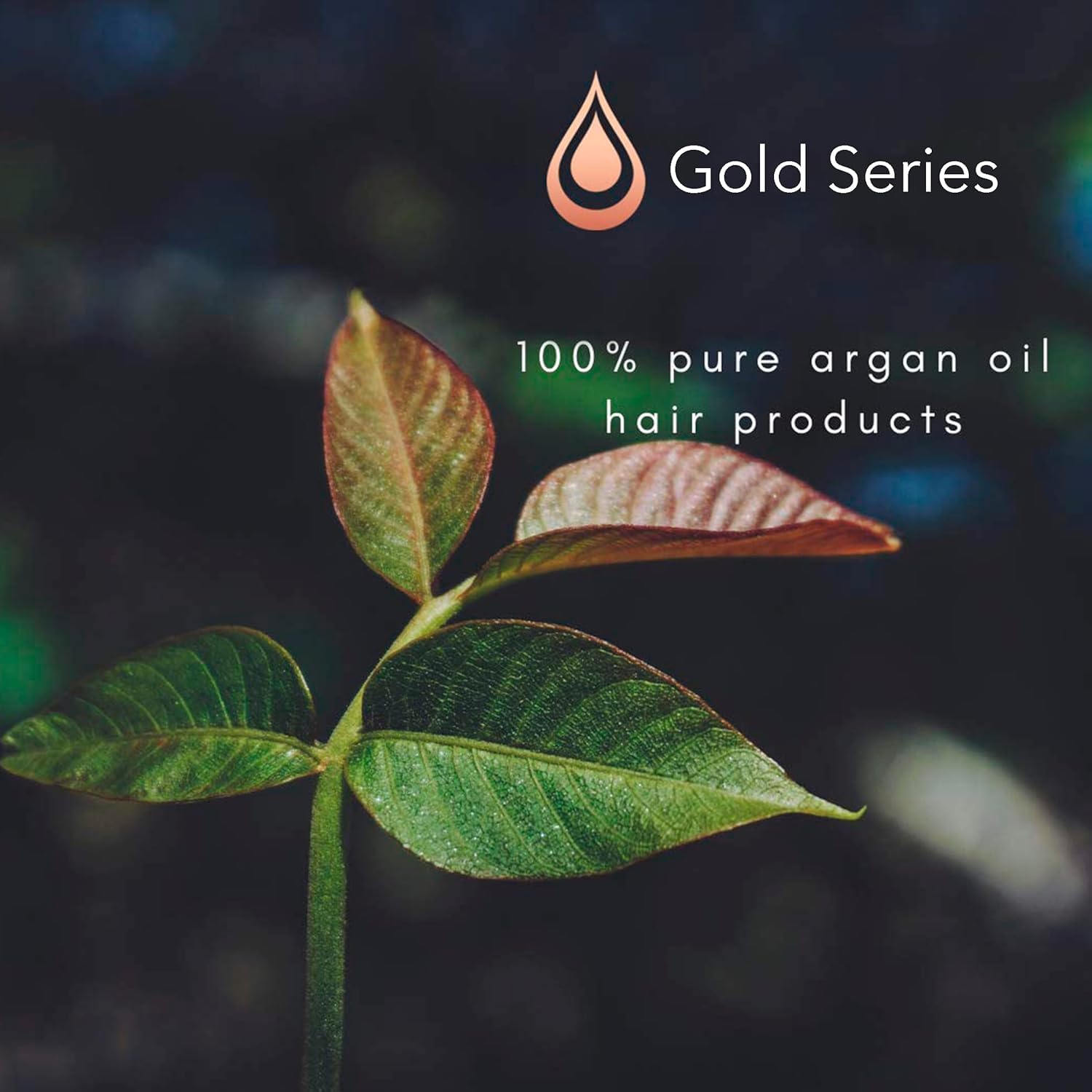 Gold Series Leave In Hair Mask Argan Oil Hair Mask Enriched - Moroccan Gold Series Official Imagery - 4