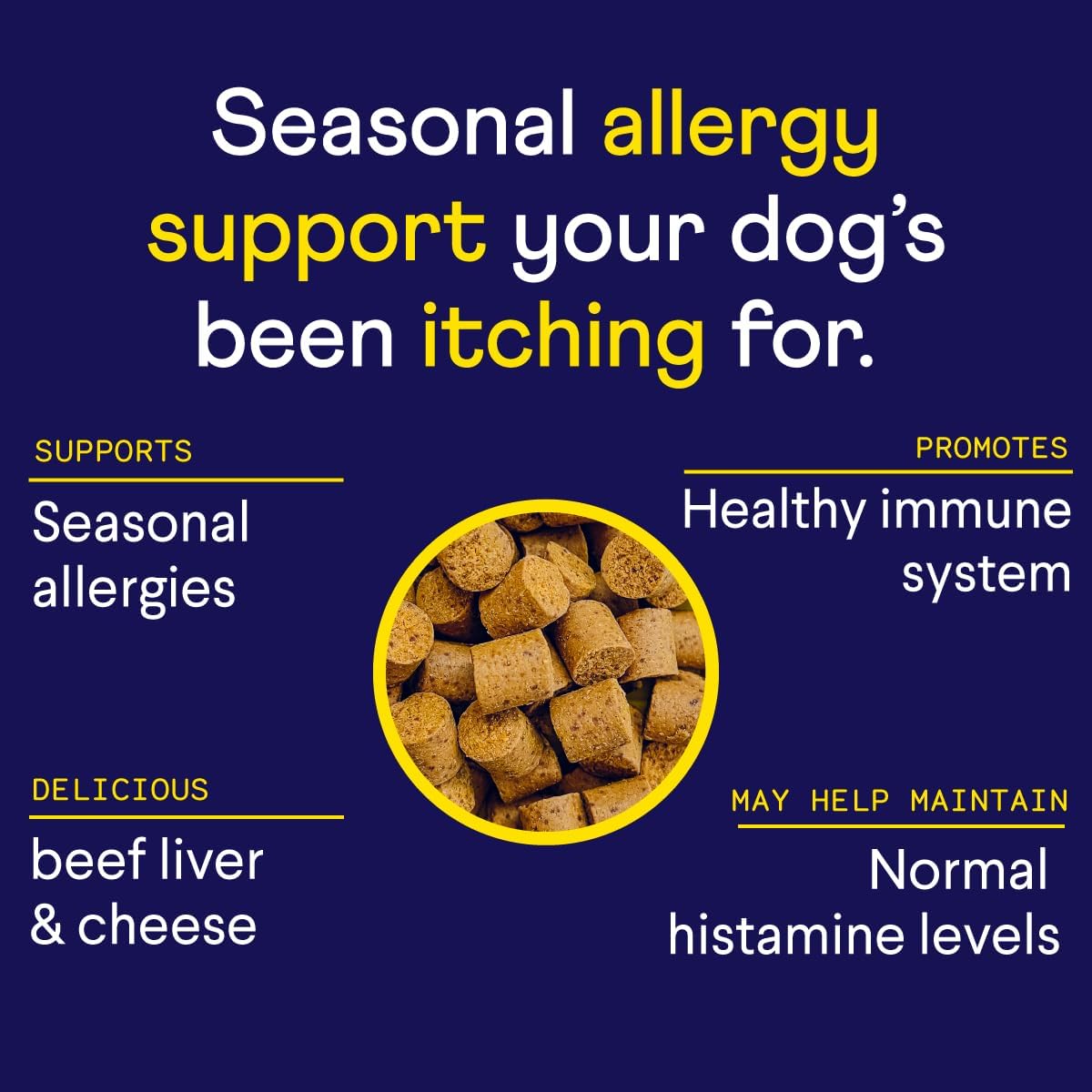 Finn Allergy & Itch for Dogs supplement bottle, daily support for itchy skin and immune health in a white bottle with label.
