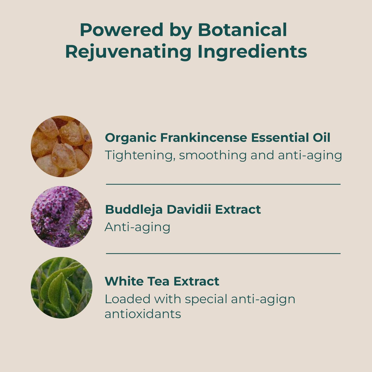 Organic Sheet Mask - INNA ORGANIC Official Imagery - 6