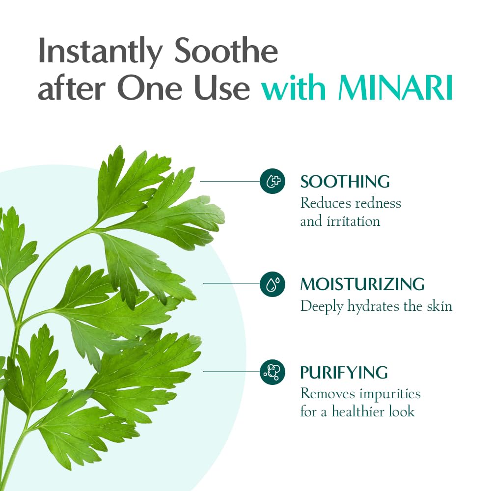 Rataplan Water Parsley Calming Serum - RATAPLAN