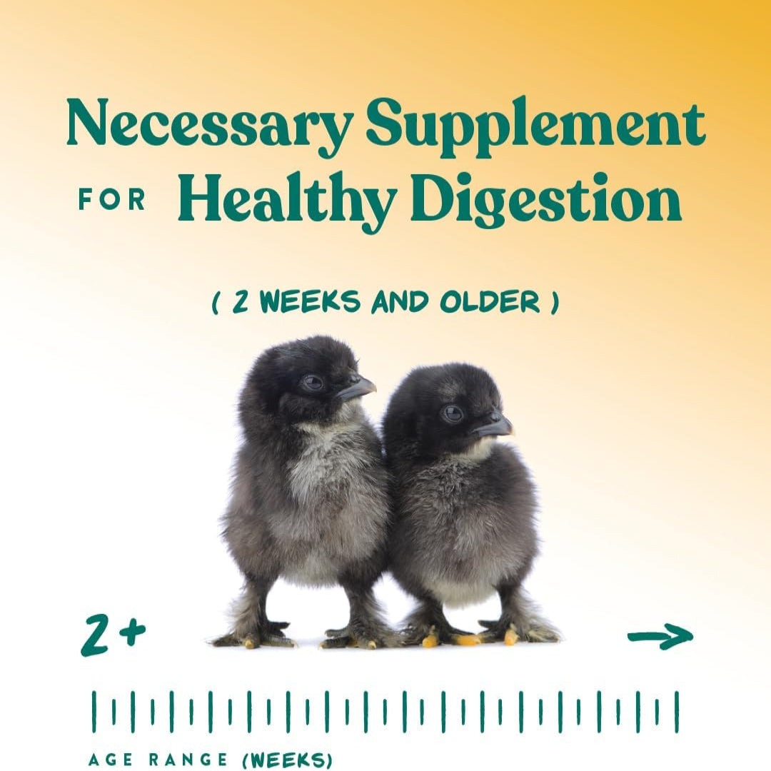 Manna Pro Chick Grit Digestive Supplement for young poultry and bantams, 5 lbs, showing a bag of poultry grit.